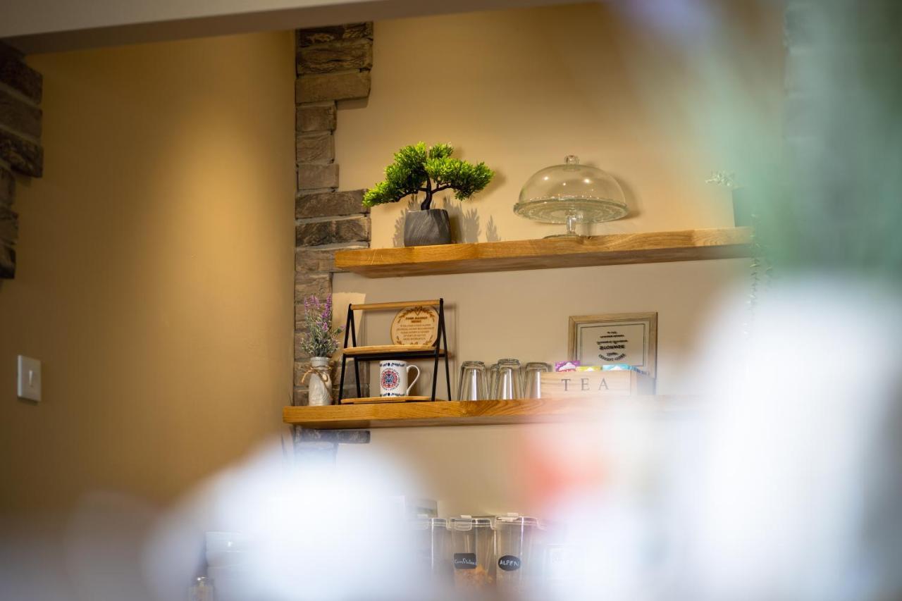Sleepy Puffin Guest House Tenby Εξωτερικό φωτογραφία